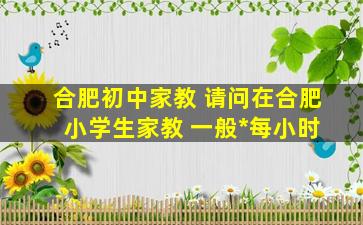 合肥初中家教 请问在合肥 小学生家教 一般*每小时